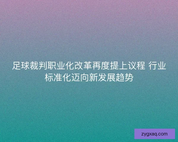 足球裁判职业化改革再度提上议程 行业标准化迈向新发展趋势 足球裁判职业化改革再度提上议程 行业标准化迈向新发展趋势
